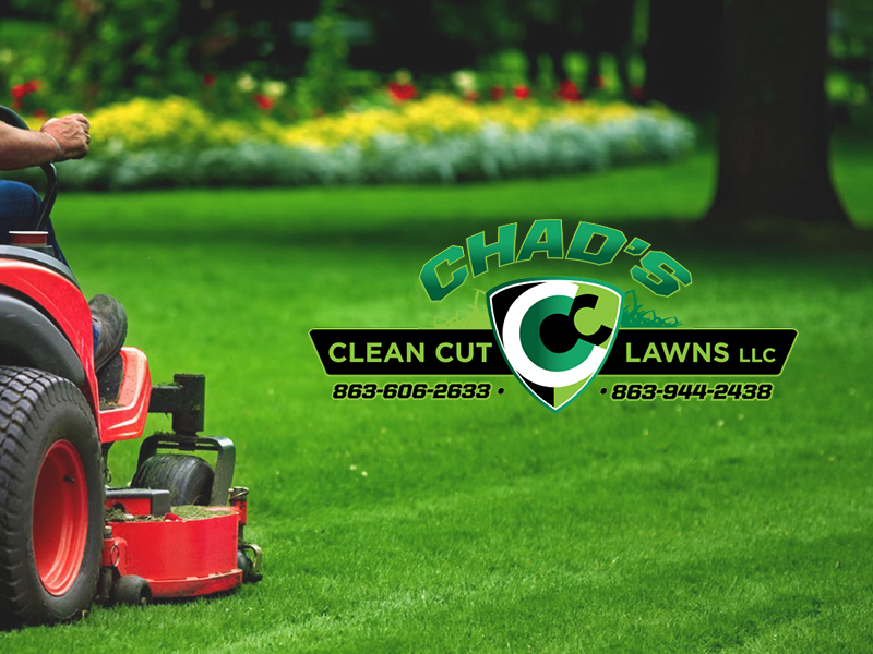 Lakeland Website Design